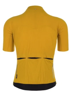 Q36.5 Dottore Pro Jersey Curry Yellow