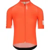 Q36.5 Gregarius Pro Signature Jersey Tangerin Red